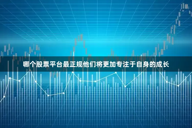哪个股票平台最正规他们将更加专注于自身的成长
