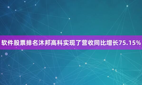 软件股票排名沐邦高科实现了营收同比增长75.15%